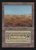 Scrubland (IED-) - Intl. Collectors' Edition