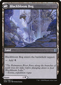 Blackbloom Rogue // Blackbloom Bog (ZNR-091) - Zendikar Rising