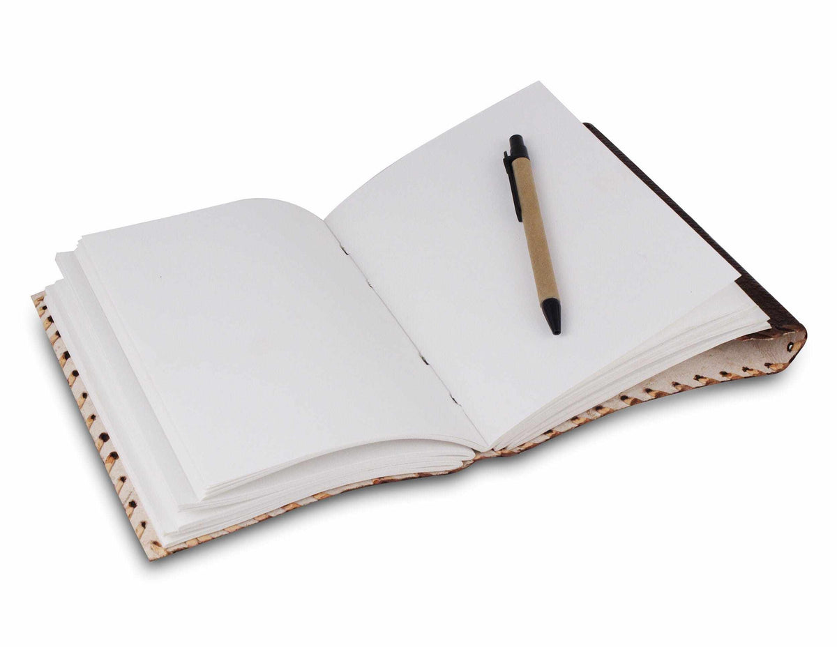 The Mohenjo-daro Journal
