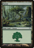 Forest (CHK-304) - Champions of Kamigawa
