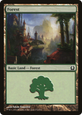 Forest (RTR-272) - Return to Ravnica